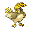 Pidgeotto (Pokémon) - Bulbapedia, the community-driven Pokémon encyclopedia