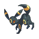 Umbreon Pokemon Bulbapedia The Community Driven Pokemon Encyclopedia