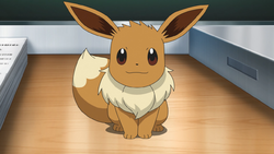 Eevee Pokemon Bulbapedia The Community Driven Pokemon Encyclopedia