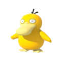 Psyduck (Pokémon) - Bulbapedia, the community-driven Pokémon encyclopedia