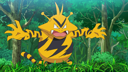 Electabuzz Pokemon Bulbapedia The Community Driven Pokemon Encyclopedia