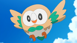 Rowlet Pokemon Bulbapedia The Community Driven Pokemon Encyclopedia