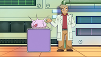 Professor Oak's Big Pokémon Examination - Bulbapedia, the community ...