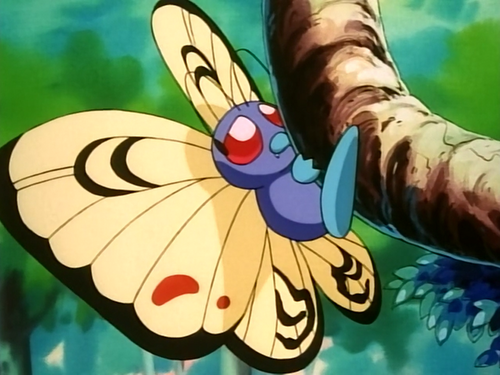 butterfree teddy