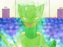 Ash S Sceptile Bulbapedia The Community Driven Pokemon Encyclopedia