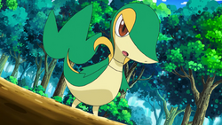 Trip's Serperior - Bulbapedia, the community-driven Pokémon encyclopedia