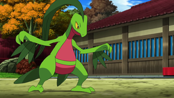 Grovyle Pokemon Bulbapedia The Community Driven Pokemon Encyclopedia