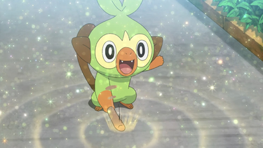 grookey pokedoll