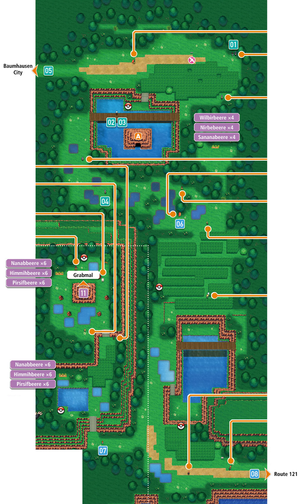 Hoenn Route 120 - Bulbapedia, the community-driven Pokémon encyclopedia