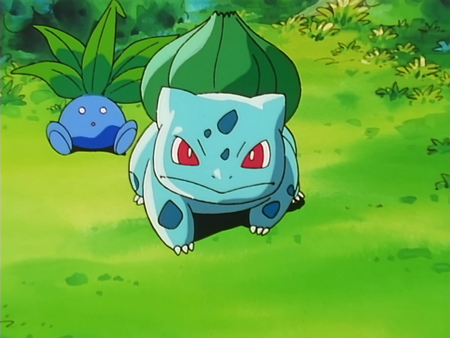 Personality & Development: Ash's Bulbasaur - Bulbanews