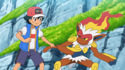 Ash S Infernape Bulbapedia The Community Driven Pokemon Encyclopedia