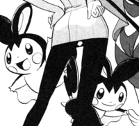 Emolga Pokemon Bulbapedia The Community Driven Pokemon Encyclopedia