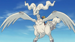 Reshiram Pokemon Bulbapedia The Community Driven Pokemon Encyclopedia