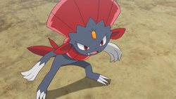 Weavile Pokemon Bulbapedia The Community Driven Pokemon Encyclopedia