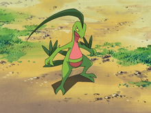 Ash S Sceptile Bulbapedia The Community Driven Pokemon Encyclopedia