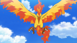 Moltres (Pokémon) - Bulbapedia, the community-driven Pokémon encyclopedia