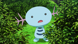 Wooper Anime Bulbapedia The Community Driven Pokemon Encyclopedia