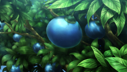 [Petalburg Woods] - A Aventura Continua - Página 4 250px-Oran_Berry_Tree_anime