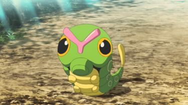 caterpie teddy