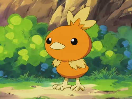 torchic pokedoll