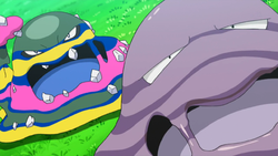 Muk Pokemon Bulbapedia The Community Driven Pokemon Encyclopedia