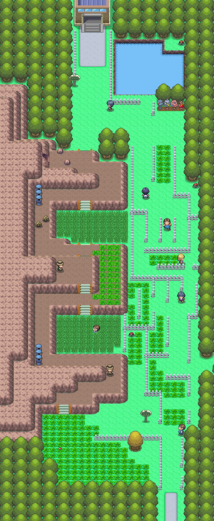 Sinnoh Route 214 Bulbapedia The Community Driven Pokemon Encyclopedia