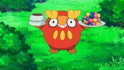 Darumaka Pokemon Bulbapedia The Community Driven Pokemon Encyclopedia