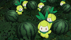 Petilil Pokemon Bulbapedia The Community Driven Pokemon Encyclopedia