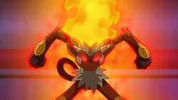 Ash S Infernape Bulbapedia The Community Driven Pokemon Encyclopedia