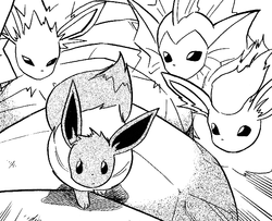 Eeveelution Bulbapedia The Community Driven Pokemon Encyclopedia